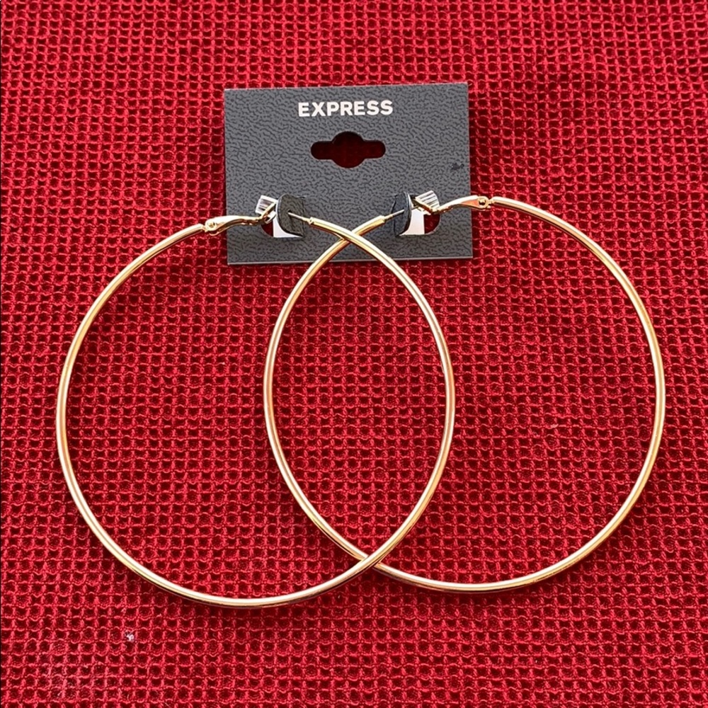 Brand new express earrings